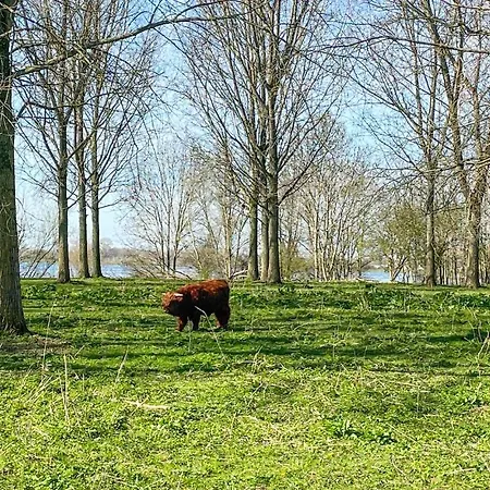 Botel Gorgeous Ship In With View Lith