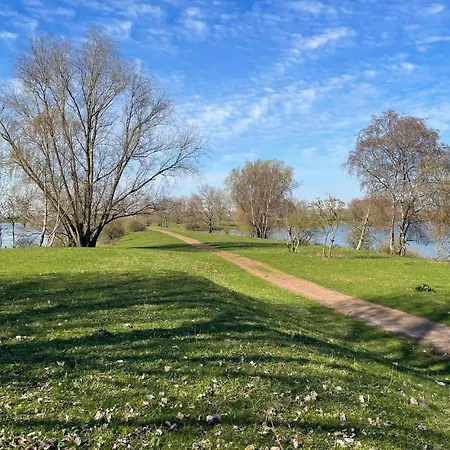 Botel Gorgeous Ship In With View Lith
