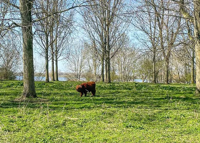 Botel Gorgeous Ship In With View Lith